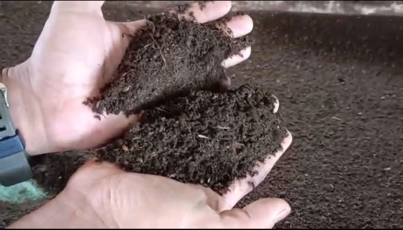 Plant growth results