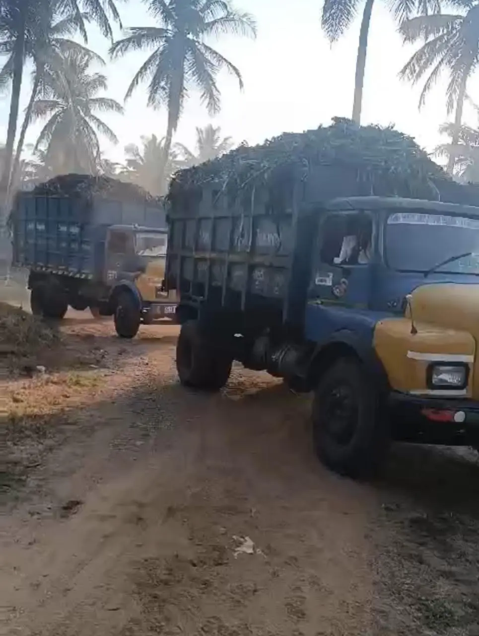 Earthworms for vermicomposting