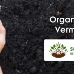 Organic Farming Vermicompost