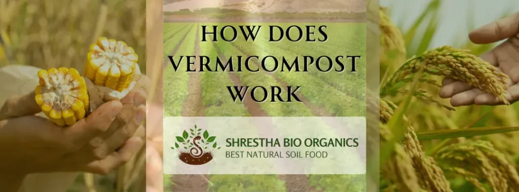 How Does Vermicompost Work?