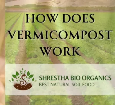 How Does Vermicompost Work?