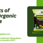 Benefits of Using Organic Manure