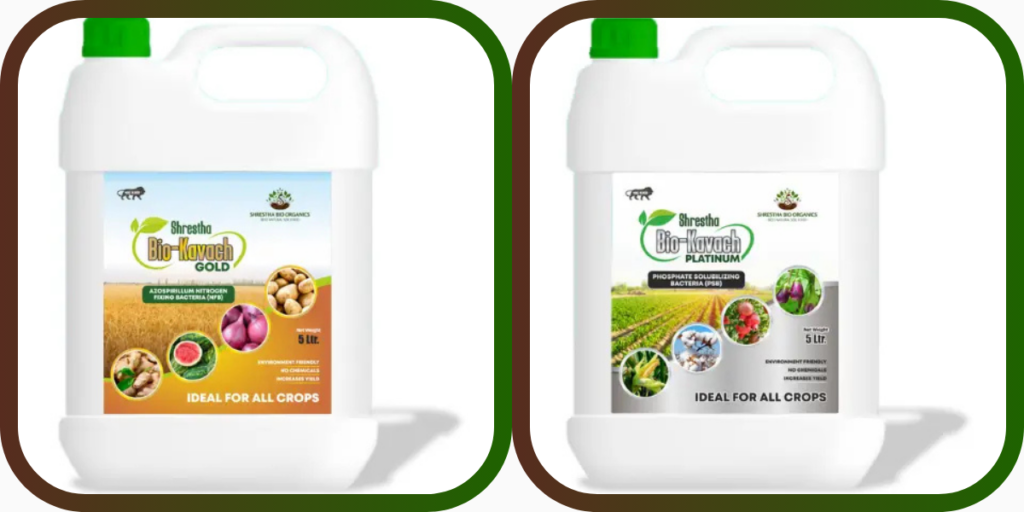 Bio Fertilizers Supplier in UAE