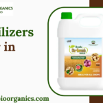 Bio Fertilizers Supplier in UAE