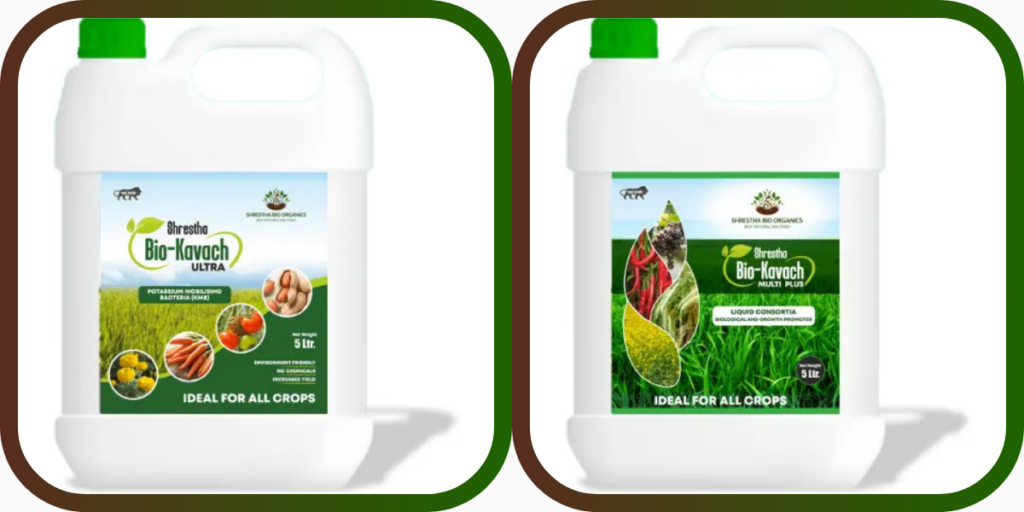 Bio Fertilizers Supplier in UAE