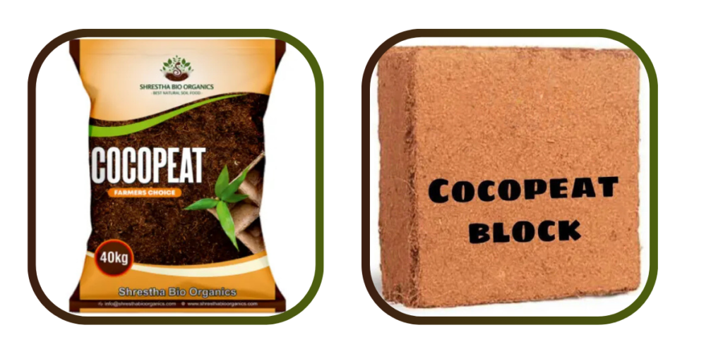 Cocopeat Supplier in UAE