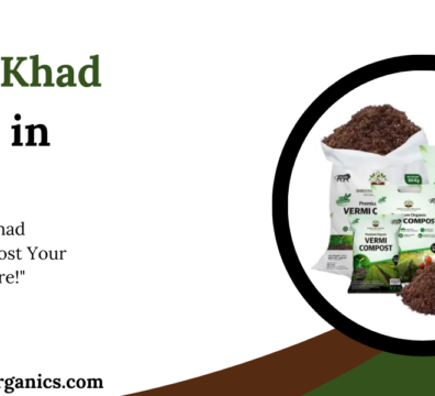 Organic Khad Supplier in UAE