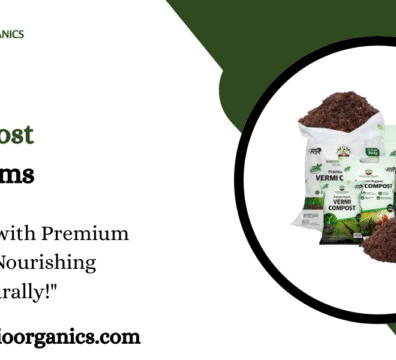 Premium Vermicompost For UAE Farms