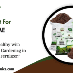 Vermicompost For Gardening UAE