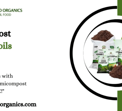 Vermicompost for Sandy Soils UAE