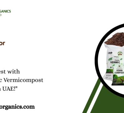 Organic Vermicompost For Agriculture UAE